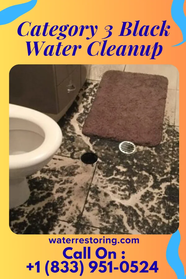 Category 3 Black Water Cleanup in Birch Creek Colony, MT