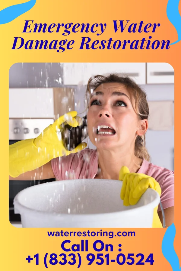 Emergency Water Damage Restoration in Birch Creek Colony, MT